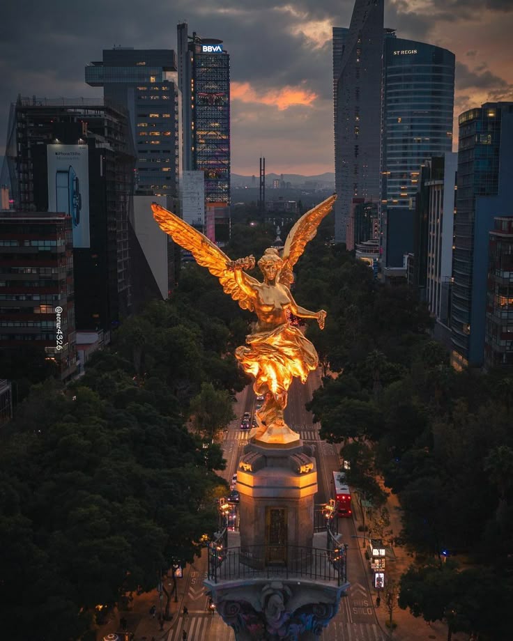 cdmx2-mice-omvexa