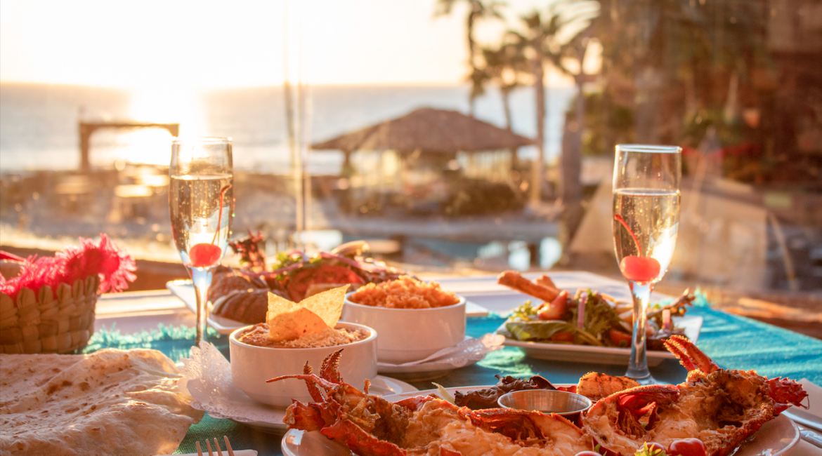 gastronomia-incentivo-omvexa